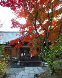 嵯峨嵐山 天龍寺、紅葉、日本庭園、11月秋、京都府京都市の観光・撮影スポットの名所